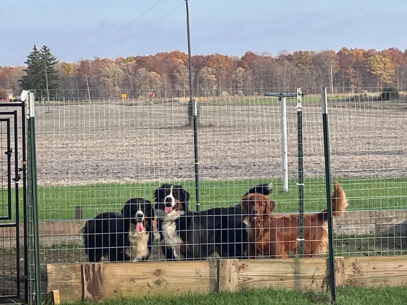 Happy Tails Family Farm