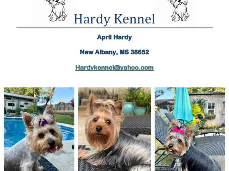 Hardy Kennel
