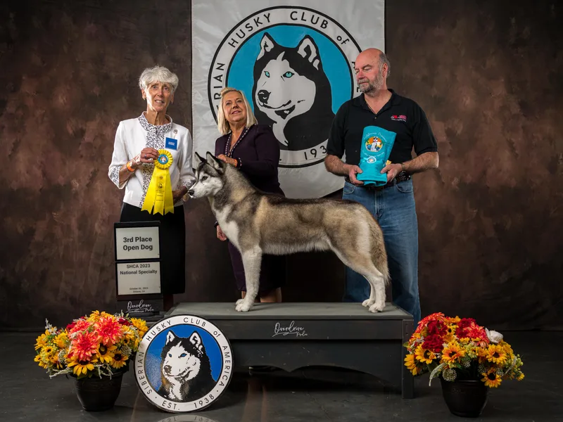 Hart Creek Siberians
