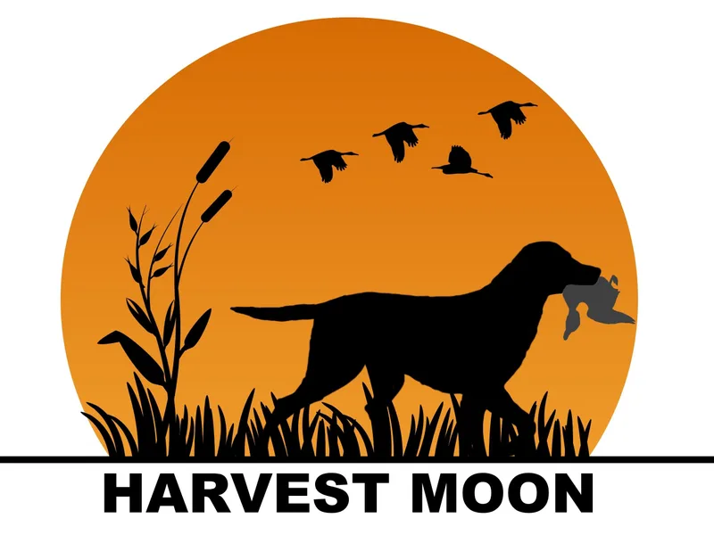 Harvest Moon photo 1