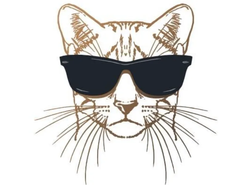 HaughtyBengal