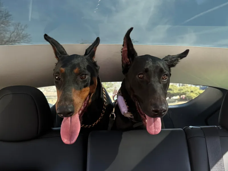 Haus of Hound