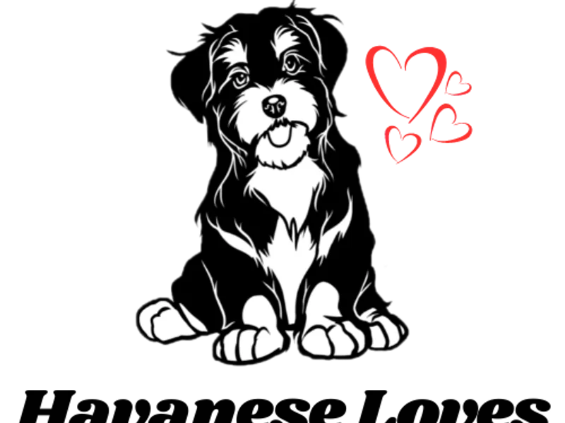 Havanese Loves