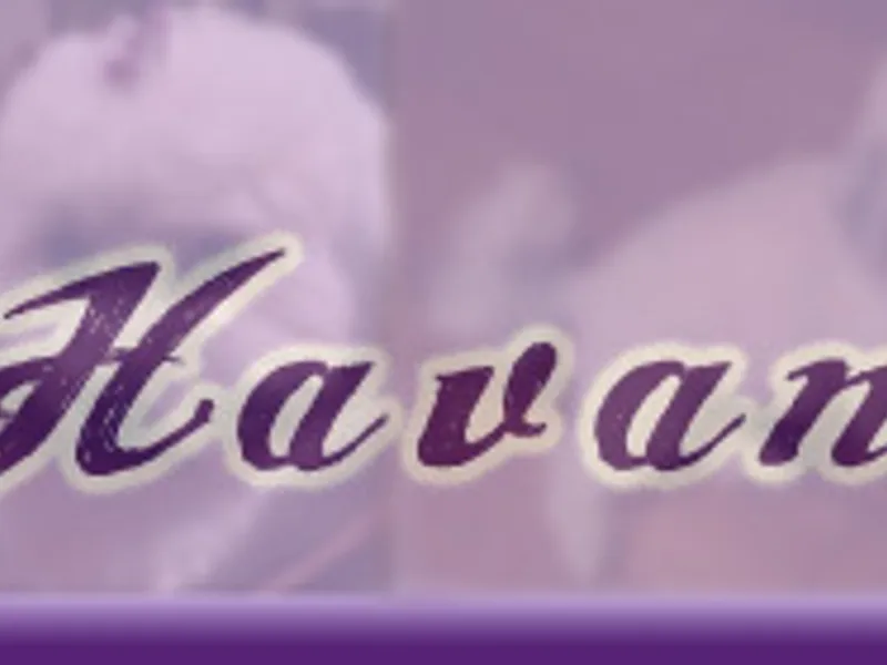 Have A Havanese Puppy