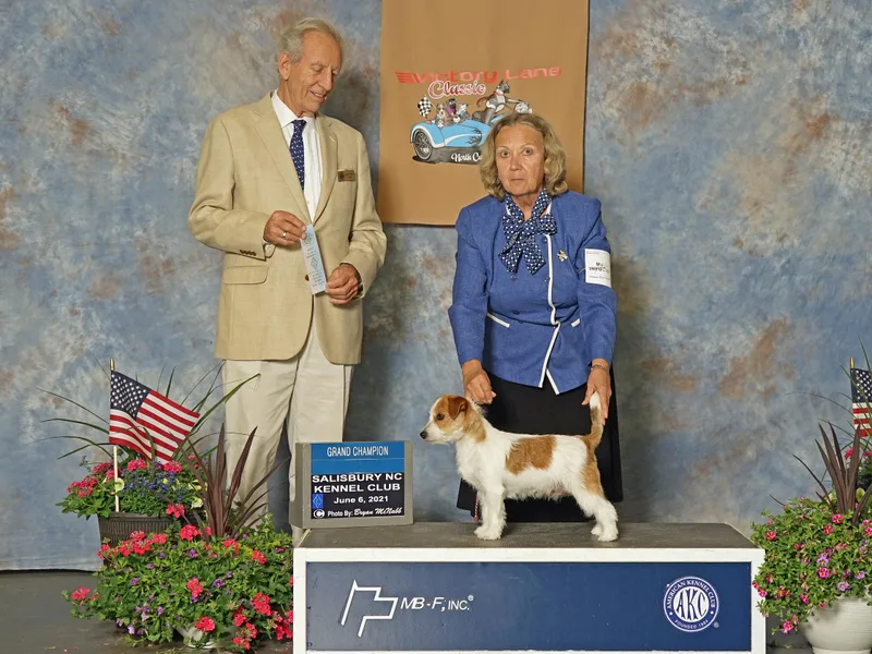 Hawk’s Nest Kennels