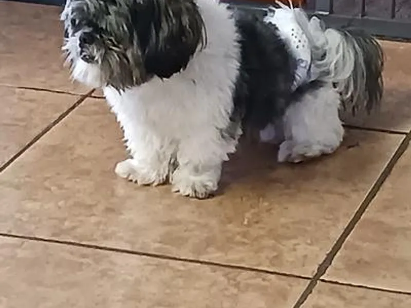 Hazells Home photo 1
