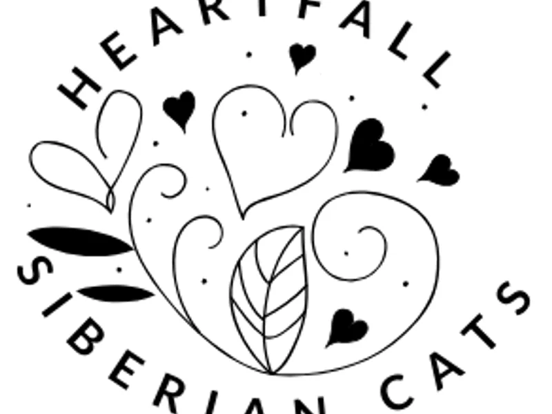 Heartfall photo 1