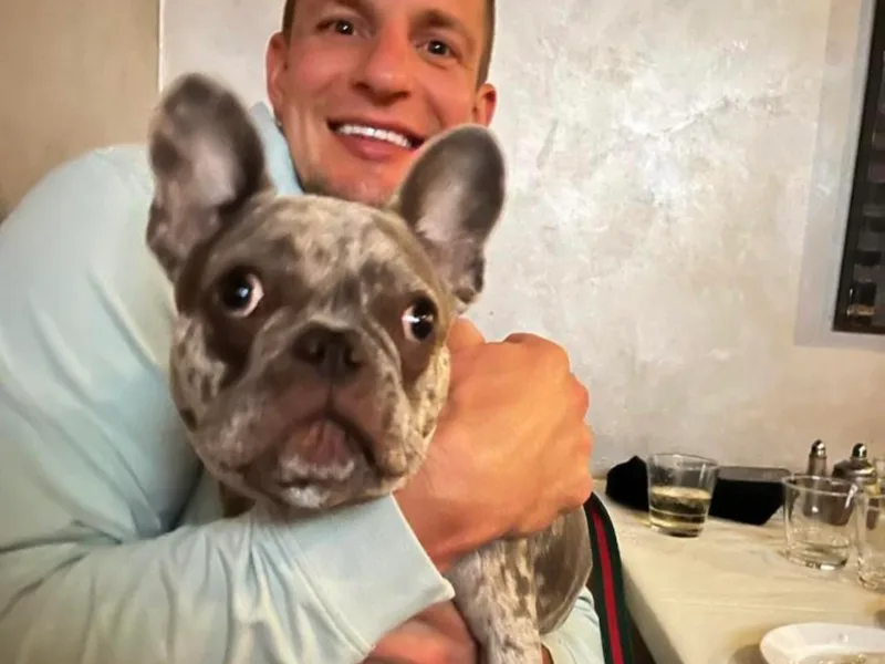 Heartfelt Kennels