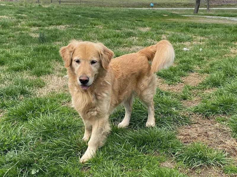 Hearth &amp; Homestead