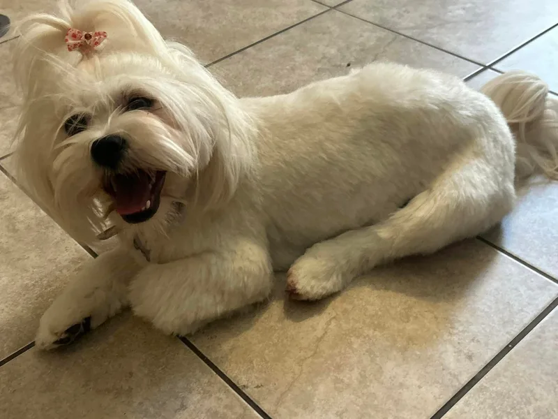 Hearth and Hound Family Farms