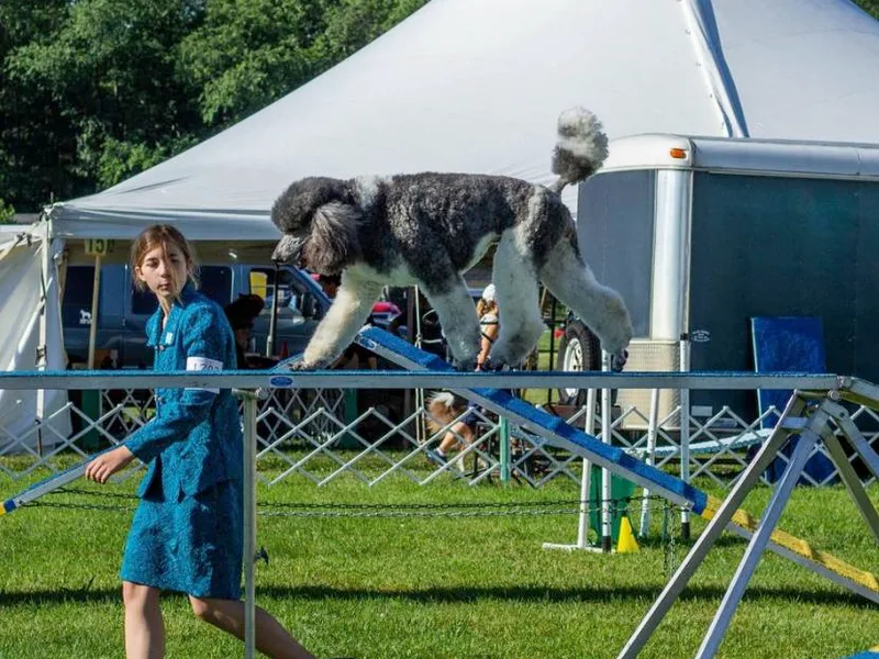Heartland Kennel