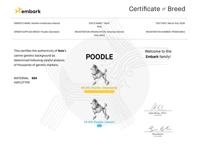 Heather's Love4Poodles