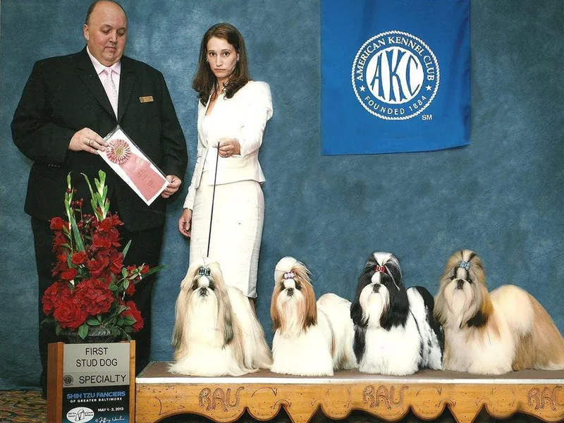 Heavenly Dynasty