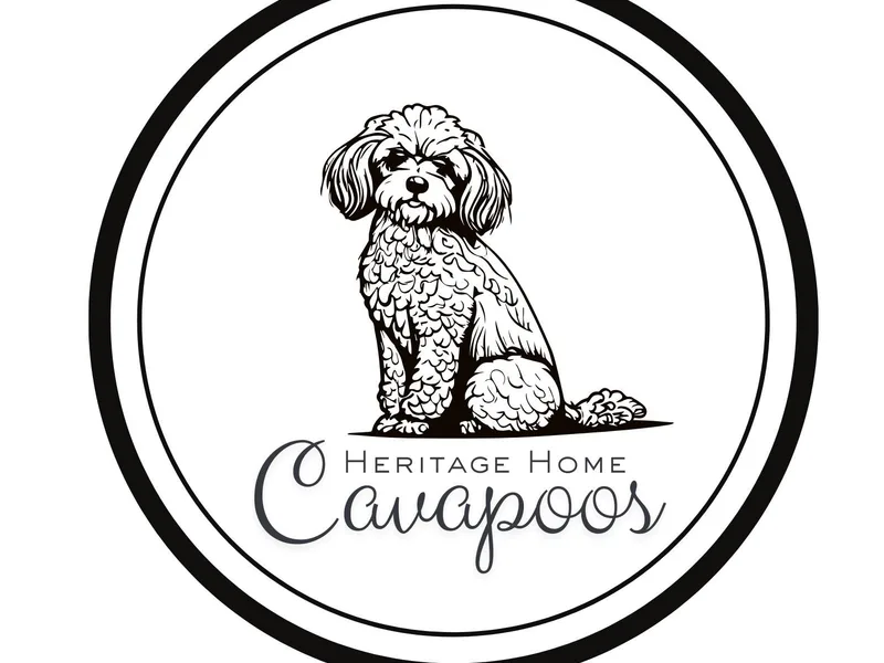 Heritage Home Cavapoos