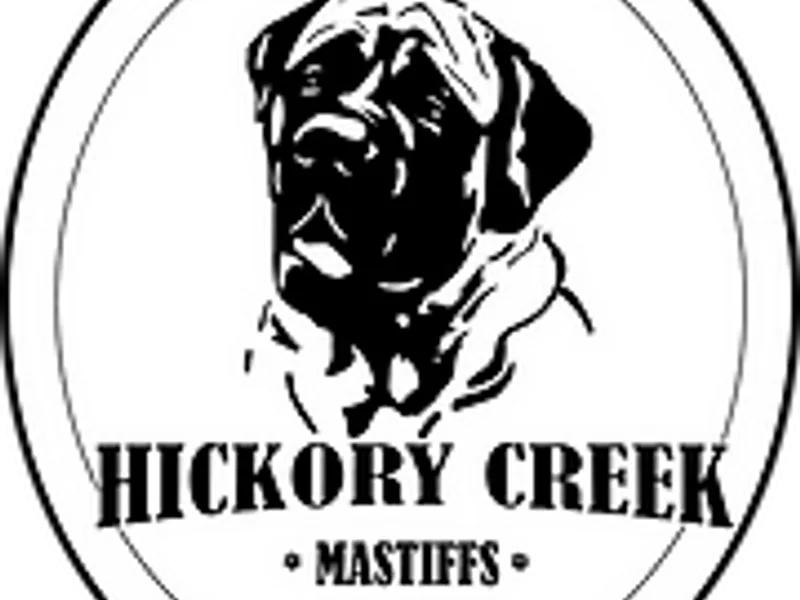 Hickory Creek Mastiffs: Monica & Todd Baughman