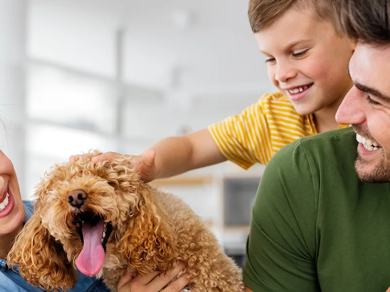 Hidden View Farms LLc