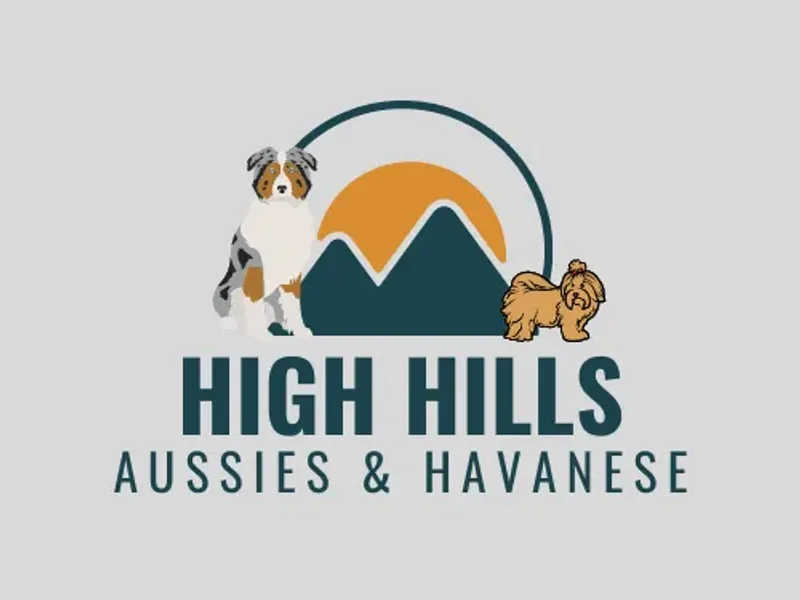 High Hills Aussies and Havanese