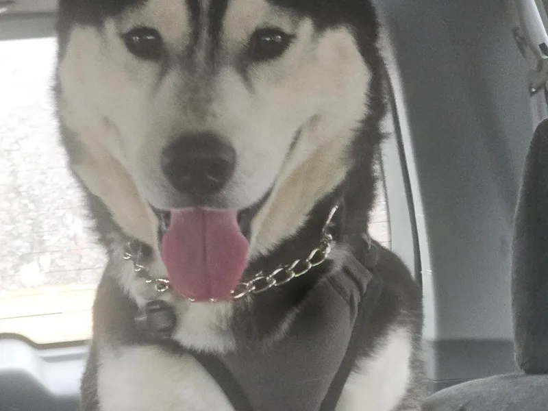 High Mountain Crosses