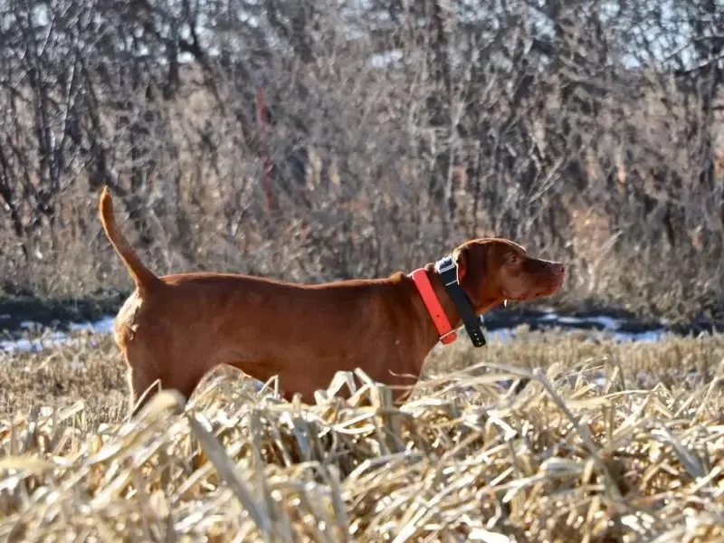 High Trail Connection
