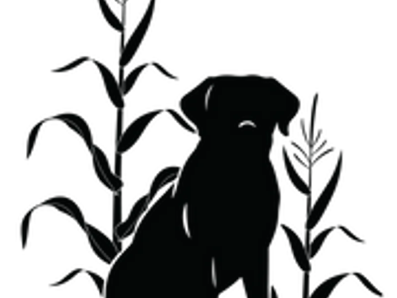 High Yield Retrievers