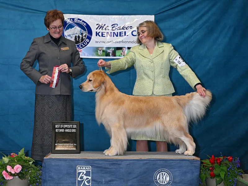 Highland Gold photo 1