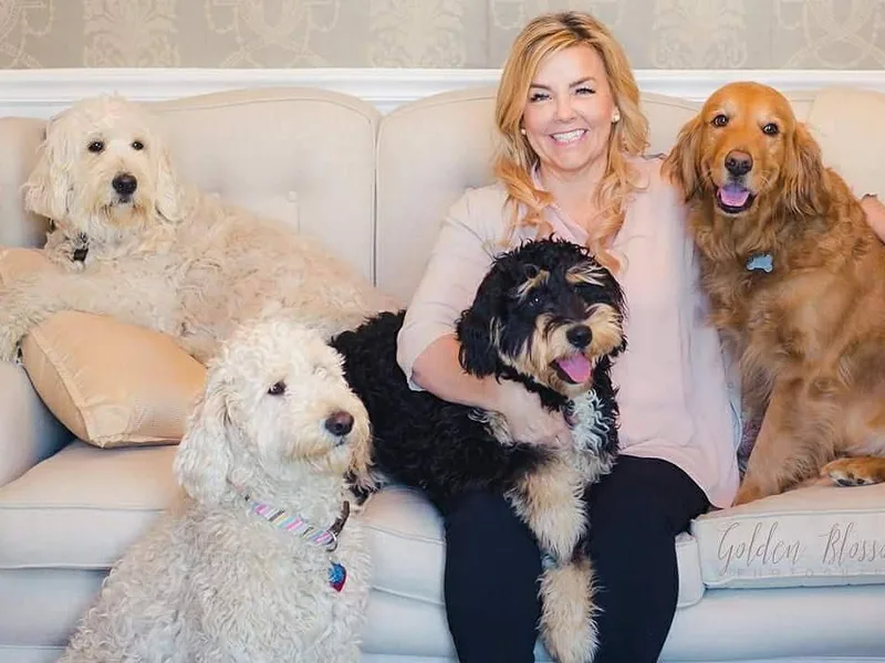 Highland Goldendoodles