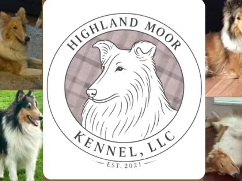Highland Moor Kennel