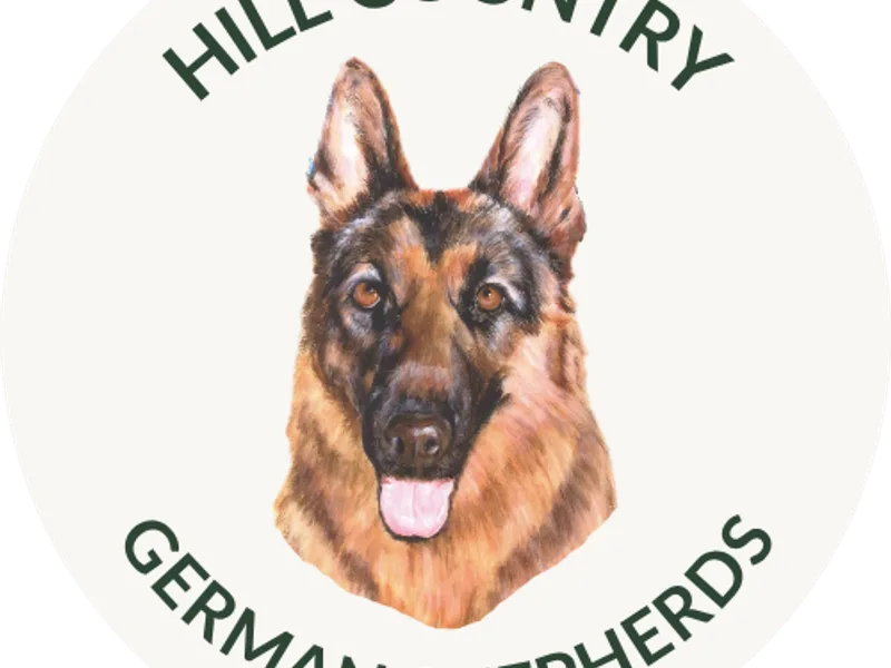 Hill Country German Shepherds