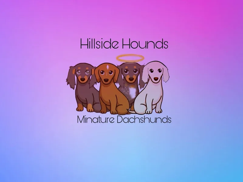 Hillside Hounds