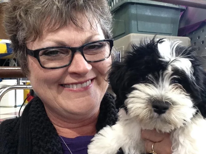 HINZ-N-CO Havanese
