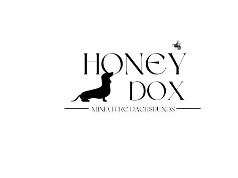 Honeydox Miniature Dachshunds