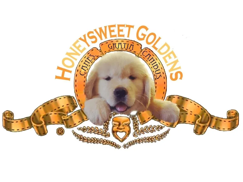 Honeysweet Goldens