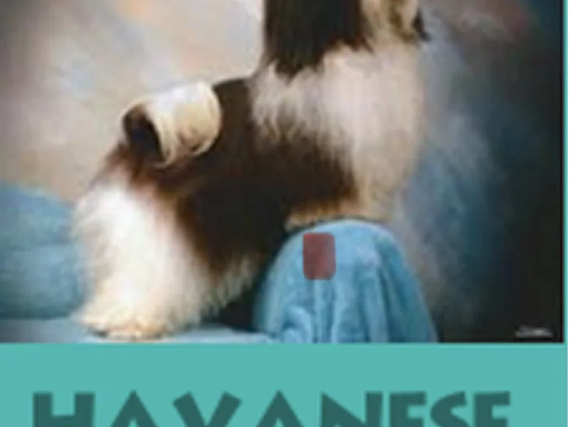 HONOR HAVANESE and FOREVER POODLES