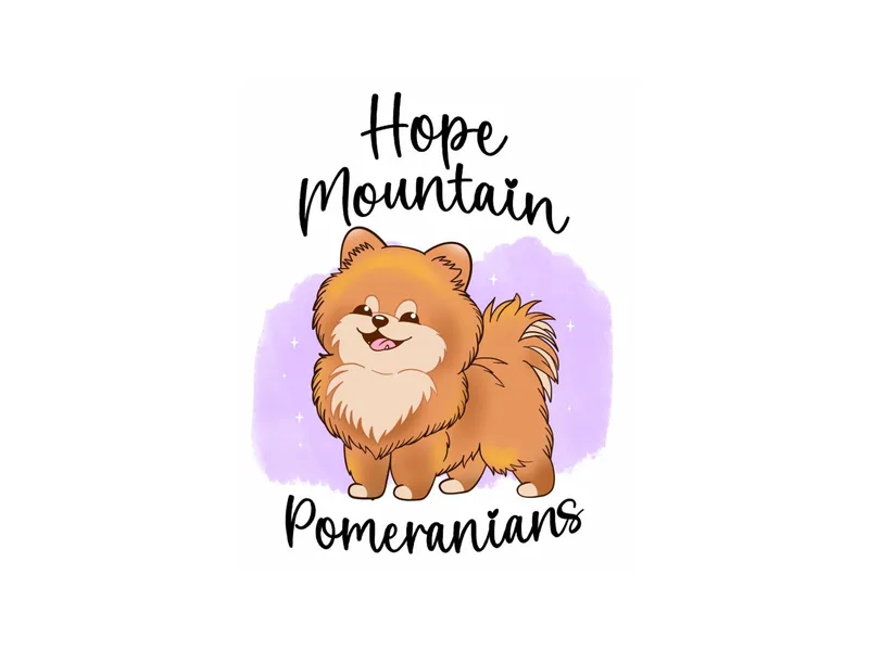 Hope Mountain Pomeranians