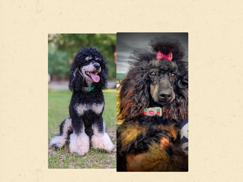 Horse Creek Valley Ranch