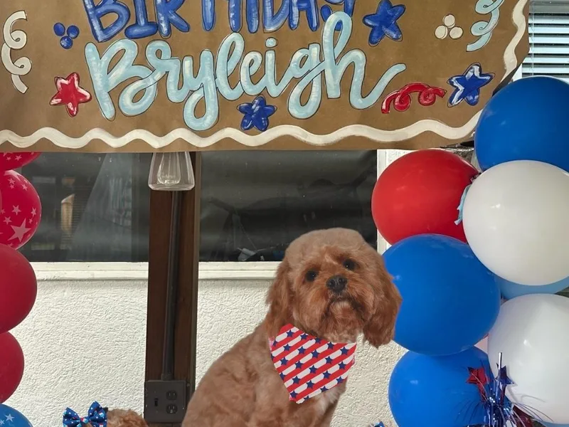 Horton &amp; Co. Cavapoos