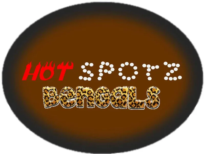 Hotspotzbengals