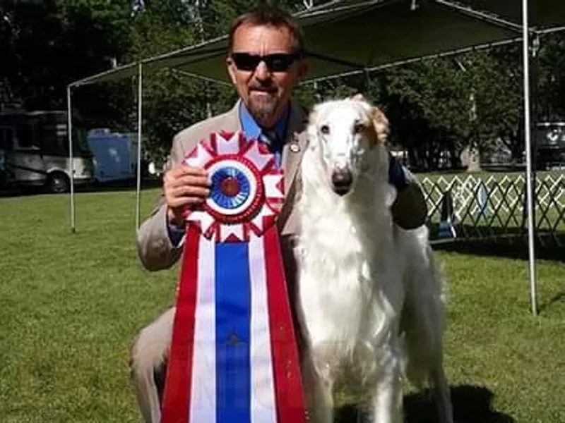 Hounds of Laureate
