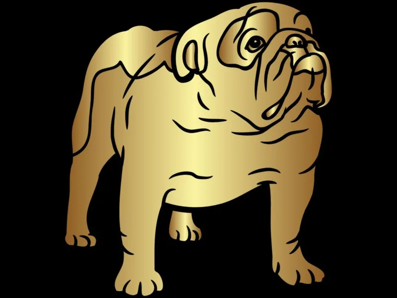 House of Payne English Bulldogs