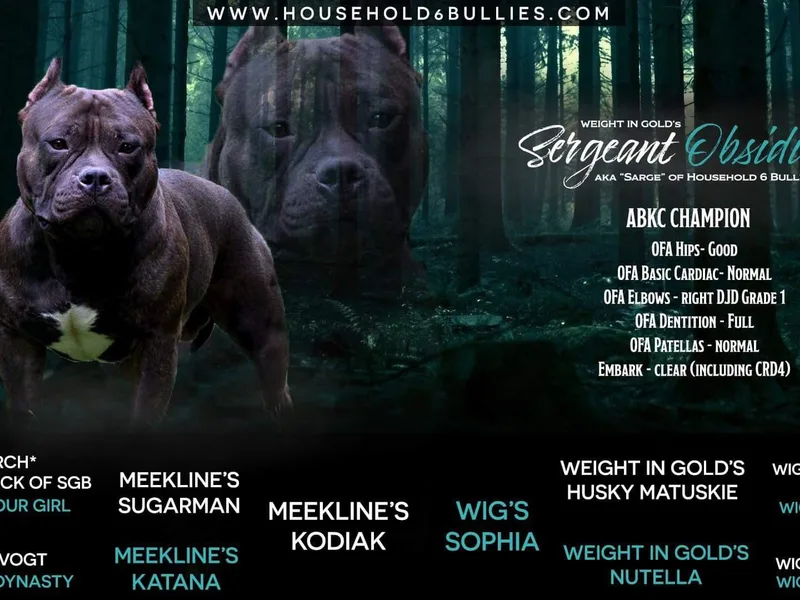 Household 6 Bullies, LLC