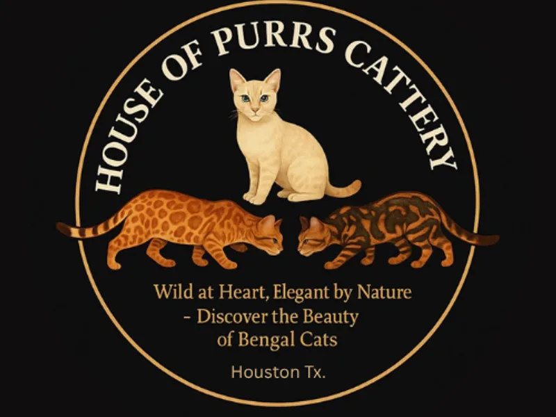 HouseofPurrs