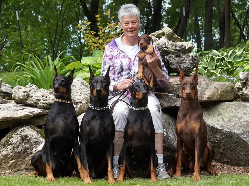 HQ Dobermans