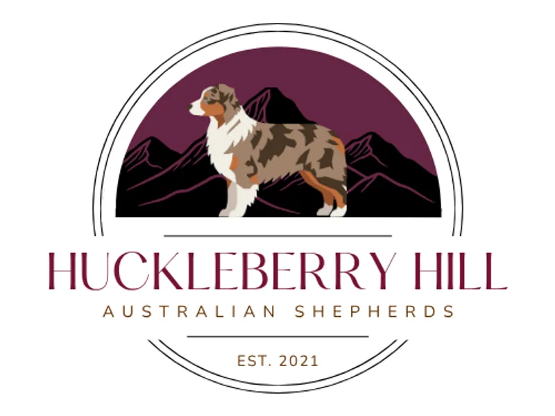 Huckleberry Hill Australian Shepherds