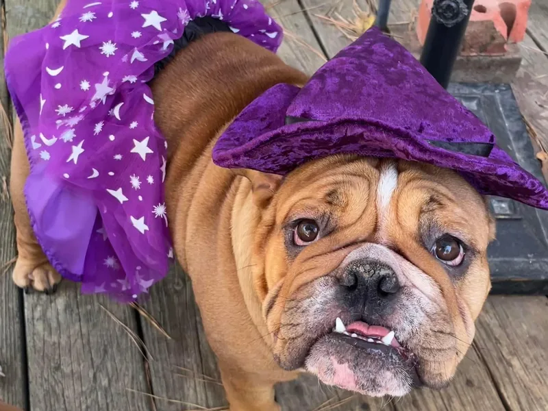 Hulkbuster’s Bullies