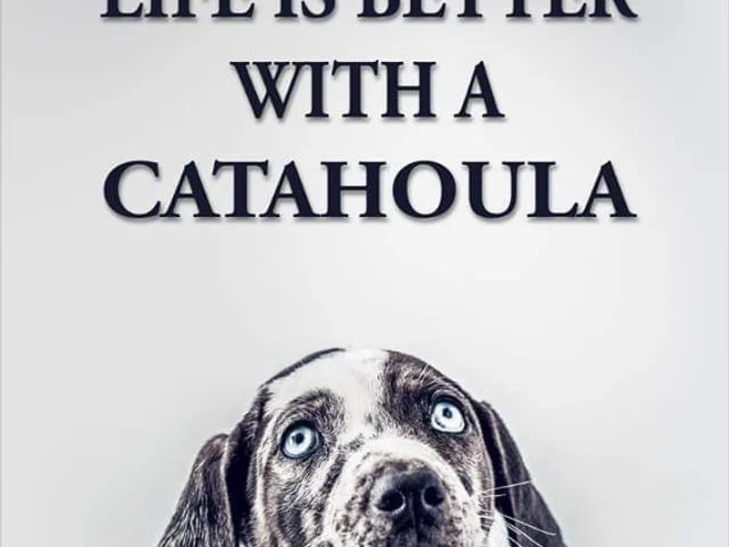Hungry Valley Catahoulas