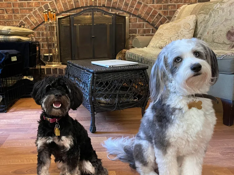 I Love Lucy's Doodles