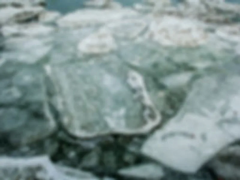 Ice Breaker Chesapeakes