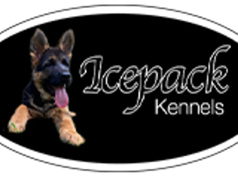 Icepack Kennels photo 1