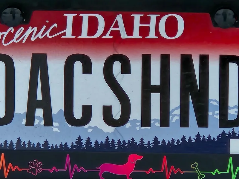 Idaho Dachshunds