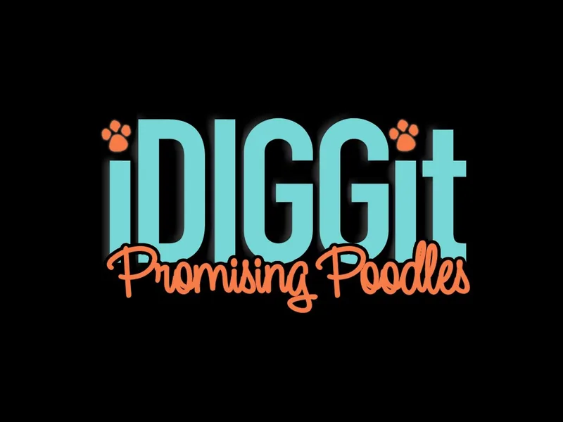 iDIGGit Promising Poodles